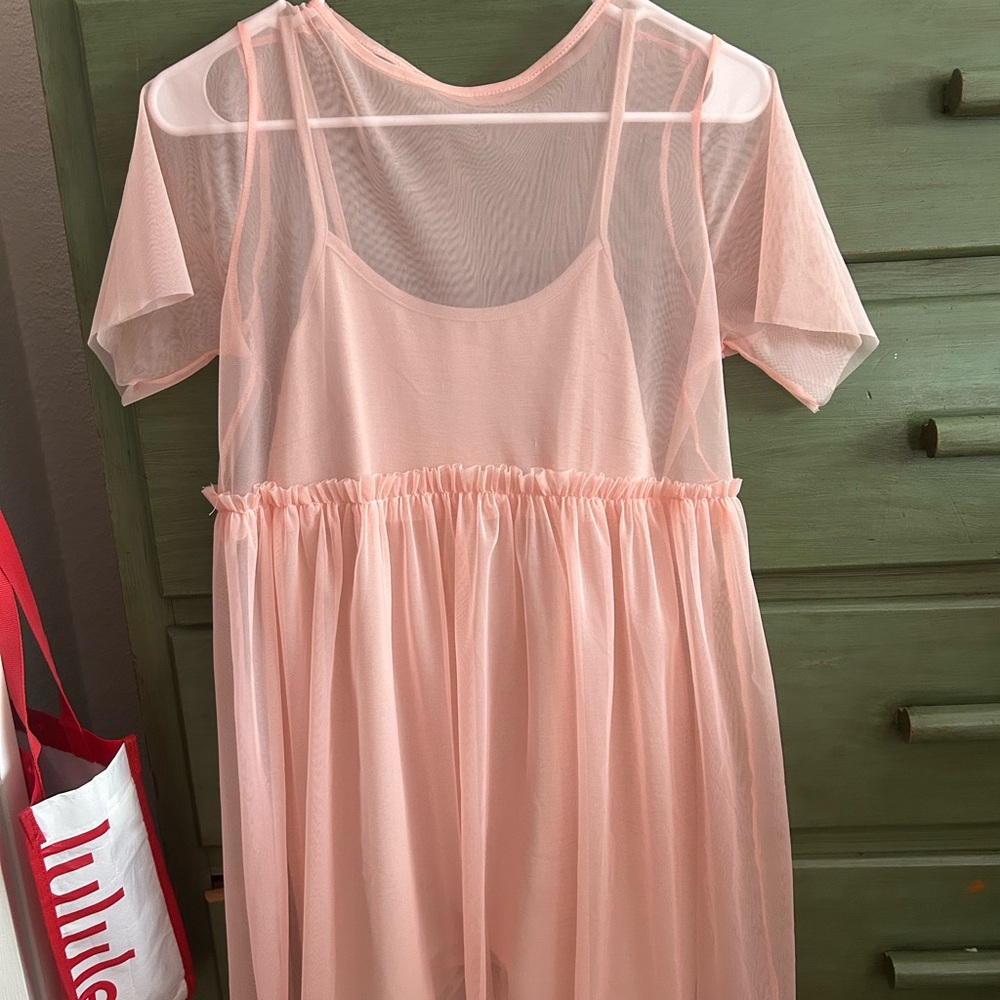 Pale Pink Sheer Chemise with Flowing Skirt